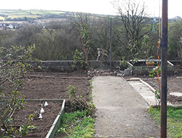 back of garden after clearing